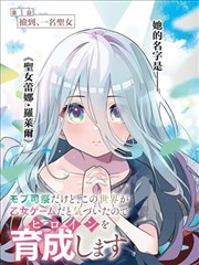 疾风剑客海报